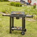 EASY 60 - Barbecue au charbon, simple et innovant